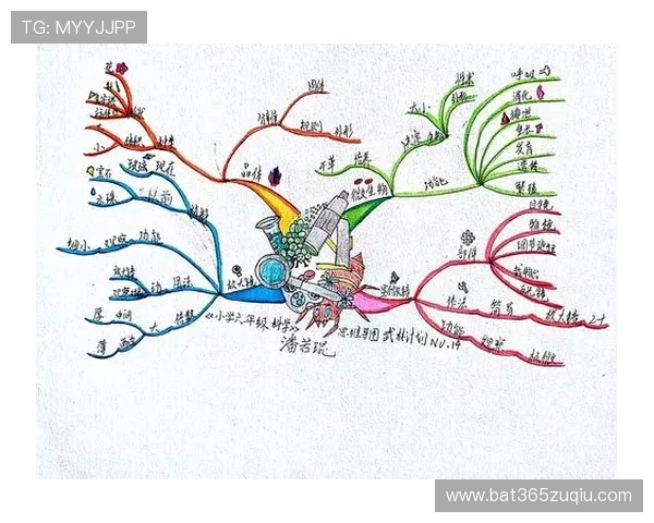 2026德甲下注实战策略学习宝典指导新手快速建立科学投注思维 2026德甲下注实战策略学习宝典指导新手快速建立科学投注思维